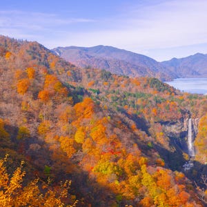 Autumn Maple Wall Art | Japanese Momiji Photography Print | Akechidaira Plateau Autumn | Hand-Printed Silver Halide | Made in Japan