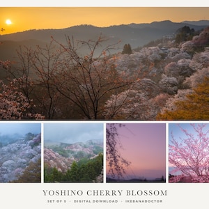 以下が含まれることがあります： 夕暮れ時の山岳風景に咲く吉野桜を収めた5枚のデジタルダウンロード写真セット。霧のかかった丘、ピンク色の花を咲かせた木々、紫色の夕焼け空が写っています。テキストには「YOSHINO CHERRY BLOSSOM SET OF 5」と記されています。