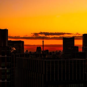 Op de afbeelding: Een silhouet van een stadsgezicht tegen een levendige zonsondergang. De lucht verloopt van helder geel naar diep oranje, met donkere wolken. Gebouwen en een toren zijn zichtbaar op de voorgrond, wat een dramatisch contrast creëert.