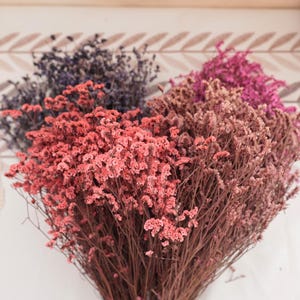 May include: A bouquet of dried flowers in shades of pink, purple, and brown. The flowers have a delicate, textured appearance and are arranged in a dense cluster. The background is a light-colored wall.