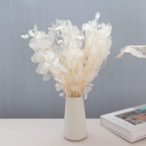 Dried Lunaria Bunch, Natural Wreath Materials, Wedding Home Decor,Wreath Materials