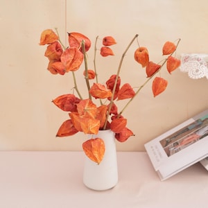 Torkade Physalisblomgrenar, kinesiska lyktbaljor, bröllopsheminredning, kransmaterial, hantverksmaterial