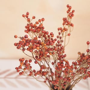 May include: A close-up of a bouquet of dried berries. The berries are small, round, and a deep reddish-orange color. They are clustered on thin, brown stems, creating a natural and rustic aesthetic. The background is a soft, neutral tone.