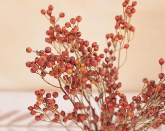Mini Berries Stem Rosehip , Filler Home Floral Decor,Dark Red to Orange Red Rosehips