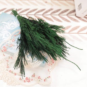 Organic Fir Pine Boughs Bundle, Christmas Holiday Decor,Bohemian Wedding Flower Arrangements, Arch Materials, Wreath Materials