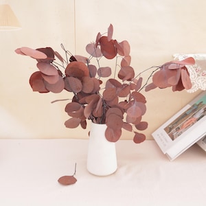 May include: A bouquet of dried eucalyptus branches with round, rust-colored leaves arranged in a simple, matte white ceramic vase. One detached leaf lies on the surface near the base of the vase, which features a tapered, cylindrical shape.