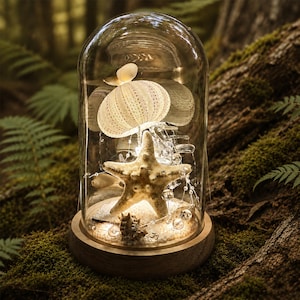 May include: A decorative glass dome with a wooden base, showcasing a starfish, sea urchin, and seashells on a bed of sand. The interior is illuminated with small, warm white lights, creating a cozy, beach-themed display.