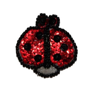 May include: A red and black ladybug with sequins, a popular craft and embellishment for clothing, accessories, and home decor.