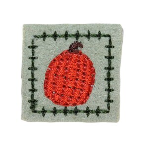 May include: A small, red embroidered pumpkin with a green stem, surrounded by a green embroidered border on a light grey felt background.