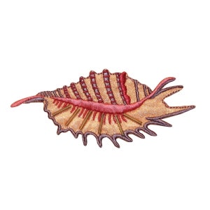 May include: A gold and red embroidered patch shaped like a seashell with a detailed design. The shell has a textured surface and a jagged edge.