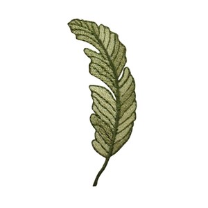 Può includere: Una foglia ricamata verde con un design dettagliato. La foglia è una singola forma lunga e stretta con una punta appuntita.