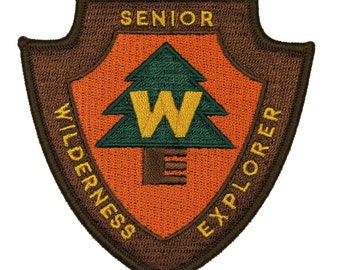 Senior Wilderness Explorer Disney Patch Scout Badge Up Craft Iron On Applique