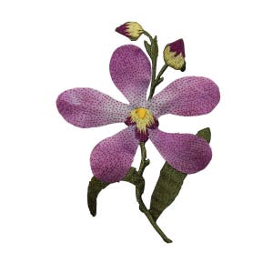 May include: A pink orchid with yellow center and green leaves. The orchid is embroidered with small pink dots.