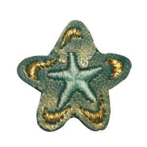 ID 3531 Shiny Star Fish Patch Ocean Sea Vacation Embroidered Iron On Applique