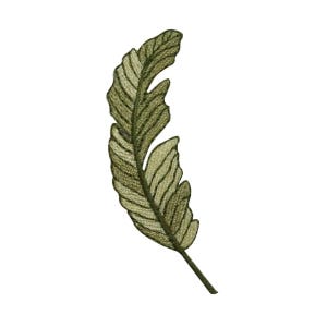 Può includere: Una piuma ricamata in verde e beige con una punta appuntita.