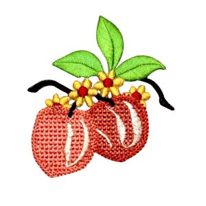 May include: Embroidered patch of two red strawberries with green leaves and yellow flowers.