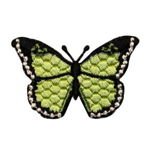 May include: A green butterfly with black outlines and white accents. The butterfly has a textured pattern on its wings.