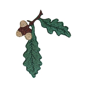 Può includere: Toppa ricamata raffigurante una ghianda e foglie di quercia. La ghianda è marrone e beige, con un aspetto strutturato. Le foglie sono di un verde intenso, con cuciture dettagliate. La toppa è progettata per essere cucita o stirata sul tessuto.