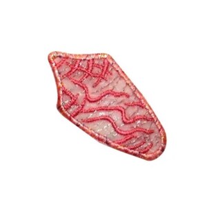 Può includere: Una toppa decorativa dalla forma unica, con uno sfondo rosa chiaro e un ricamo rosso intricato. La toppa ha un aspetto strutturato con un bordo dorato metallico. Il design include motivi ondulati e lineari.