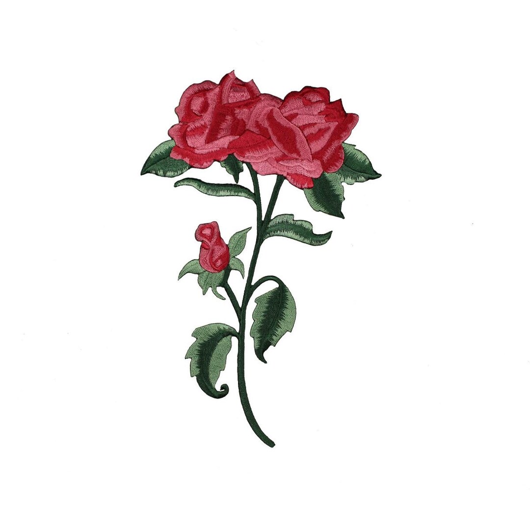 rose♡ Ultimate Elegance™ Long Stem Pink Roses | 1800Flowers.com