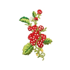 May include: Red and white embroidered strawberry patch with green leaves and vines.