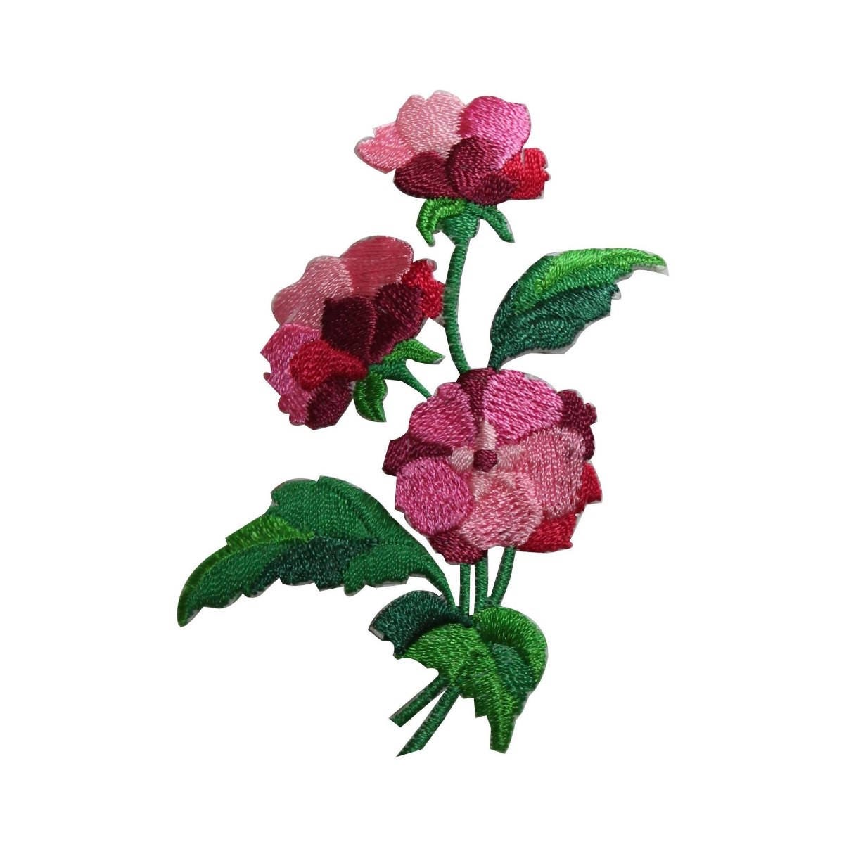 rose pinkページ Rose Bi Color Pink Malibu 60cm - FMI Farms