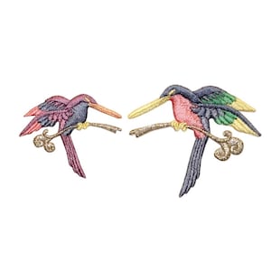 Può includere: Due toppe ricamate da stirare con colibrì colorati appollaiati su rami. I colibrì sono rosa, blu, verdi e gialli.