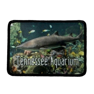 Könnte beinhalten: Nahaufnahme eines Hais, der in einem Aquarium mit bunten Korallen und Fischen schwimmt. Der Text "Tennessee Aquarium" ist unter dem Hai gedruckt.