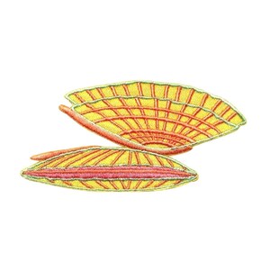 May include: A yellow and orange embroidered patch of a seashell with a detailed design.