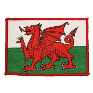May include: A red dragon with wings and a tail, on a white and green flag. The flag is surrounded by a red border.