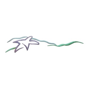 ID 9010 Starfish Ocean Craft Patch Beach Sea Waves Embroidered Iron On Applique
