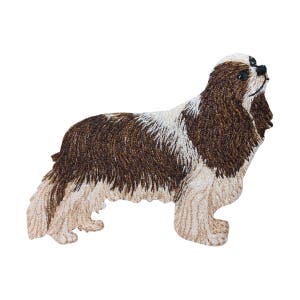 May include: Embroidered patch of a brown and white Cavalier King Charles Spaniel dog.