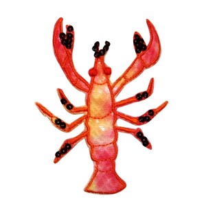 May include: A red and orange lobster embroidered patch with black bead accents. The patch is ideal for adding a nautical touch to clothing, bags, or crafts.