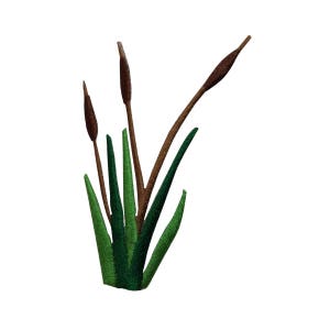 May include: Embroidered patch of a green cattail plant with brown stalks.