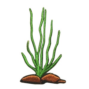 May include: Green embroidered patch of a desert plant with brown roots. The plant has long, thin stems and is a popular motif for southwestern decor.