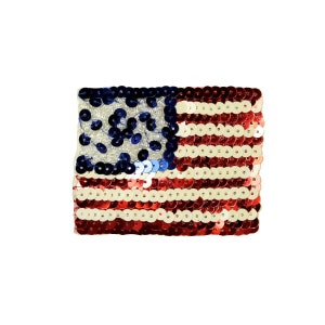 Può includere: Una piccola bandiera americana rossa, bianca e blu fatta di paillettes. La bandiera è larga circa 5 cm e lunga 7,5 cm.