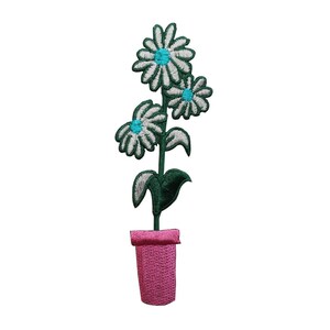Könnte beinhalten: Eine weiße Blume mit blauer Mitte in einem rosa Topf. Die Blume hat grüne Blätter und befindet sich auf weißem Hintergrund.