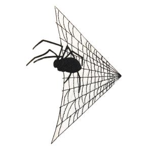 Peut inclure: Une araignée noire se trouve au centre d'une toile triangulaire. La toile est blanche avec des lignes noires et a la forme d'un triangle.