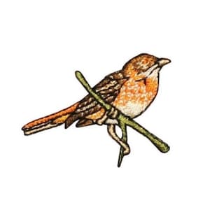 May include: Embroidered iron-on patch of a brown and orange bird perched on a green branch.