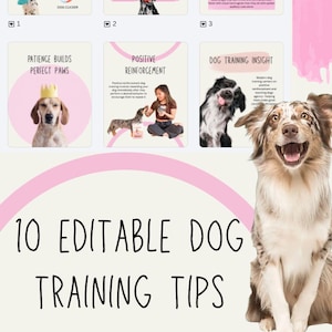 Dog Training Canva Templates Puppy training Dog training editable templates Dog training social media posts Puppy training templates