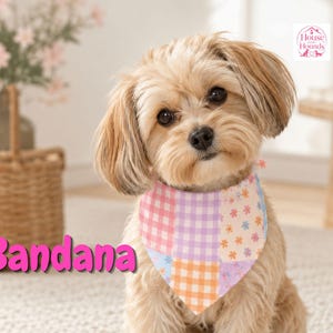 Peut inclure: Un petit chien à poils longs brun clair portant un bandana triangulaire pour animal avec un motif patchwork composé de carreaux vichy roses, violets et orange ainsi qu'un motif floral clair. Le mot Bandana est écrit en rose.