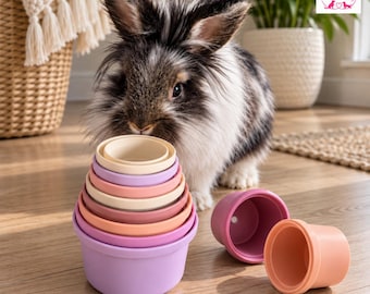 May include: A fluffy black and white rabbit stands behind a stack of seven nesting cups in shades of cream, pink, and purple. Two additional cups in dark pink and peach sit on the floor nearby. The logo House and Hounds is in the corner.
