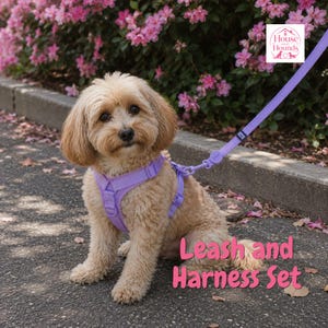 May include: A light purple dog harness and matching leash set. The harness features adjustable straps and a metal D-ring attachment. The leash is connected to the harness. The text House and Hounds and Leash and Harness Set is visible.