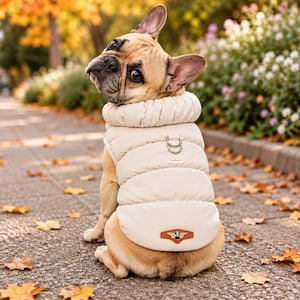 Peut inclure: Un bouledogue français fauve portant une veste sans manches matelassée de couleur crème. Le gilet présente un col haut rembourré, deux anneaux en D argentés sur le dos pour attacher une laisse, et un petit écusson en similicuir marron avec un emblème d'insecte ailé doré à la base.