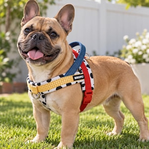 Peut inclure: Un bouledogue français fauve portant un harnais pour chien avec un motif de taches de vache blanches et noires, une sangle de poitrine jaune à carreaux, une sangle de cou en jean bleu et des sangles latérales rouges avec l'étiquette NIIKOPET.
