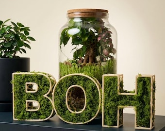 Letras decorativas con musgo