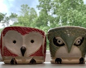 A flock of little owl planters, ceramic succulent planters, pastel trio of bird containers