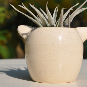Ceramic kitty planter image 4