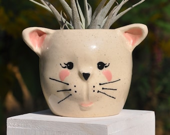 Ceramic kitty planter