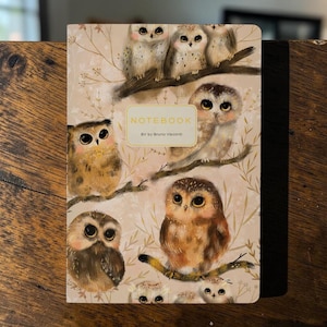 May include: A rectangular notebook with a light beige cover featuring multiple illustrated owls perched on branches. The center of the cover displays a rectangular label with the text NOTEBOOK and BV by Bruno Visconti in gold lettering.